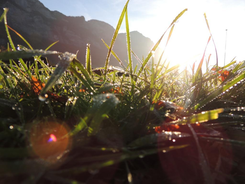 Spring Inn Flums Dış mekan fotoğraf